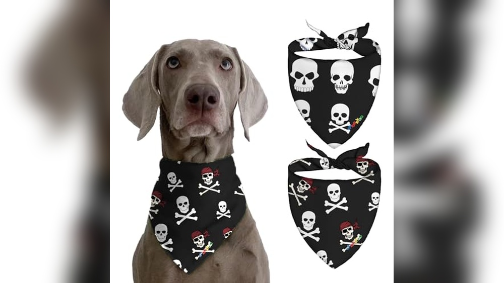 3D Printed Dog Accessories