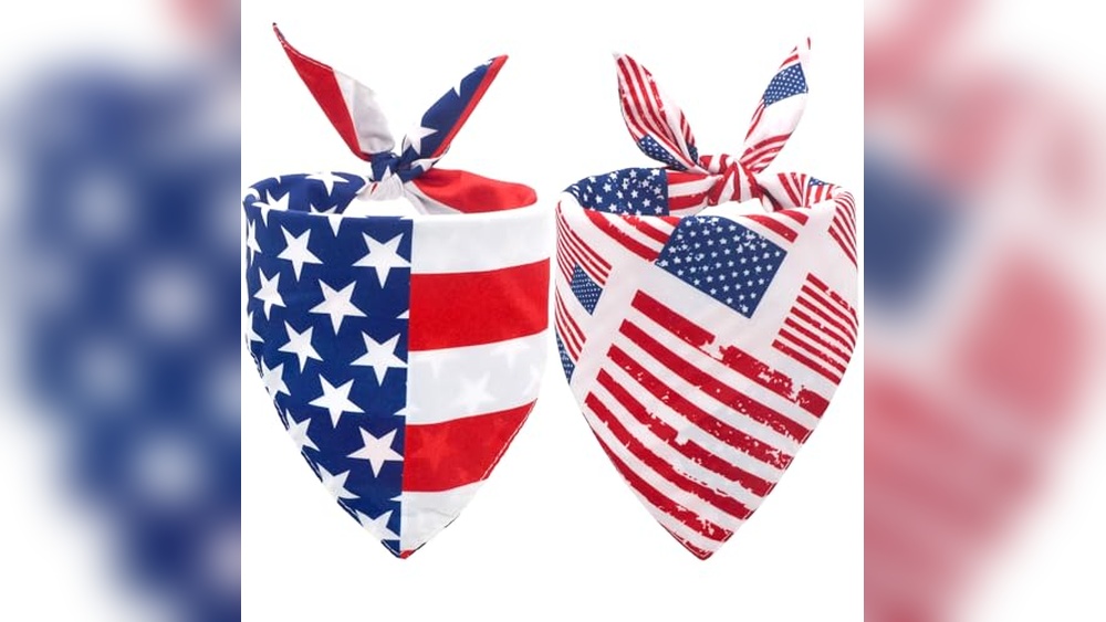 4Th of July Dog Accessories