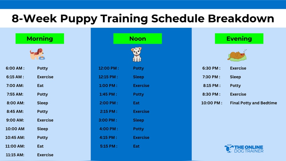 8 Week Old Puppy Training Tips
