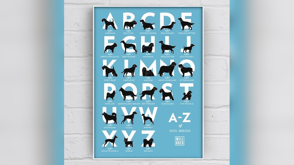 A to Z Dog Breeds With Pics