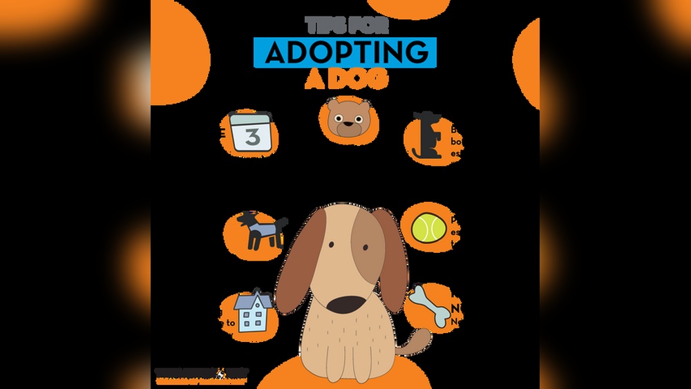 Adopting a Puppy Tips