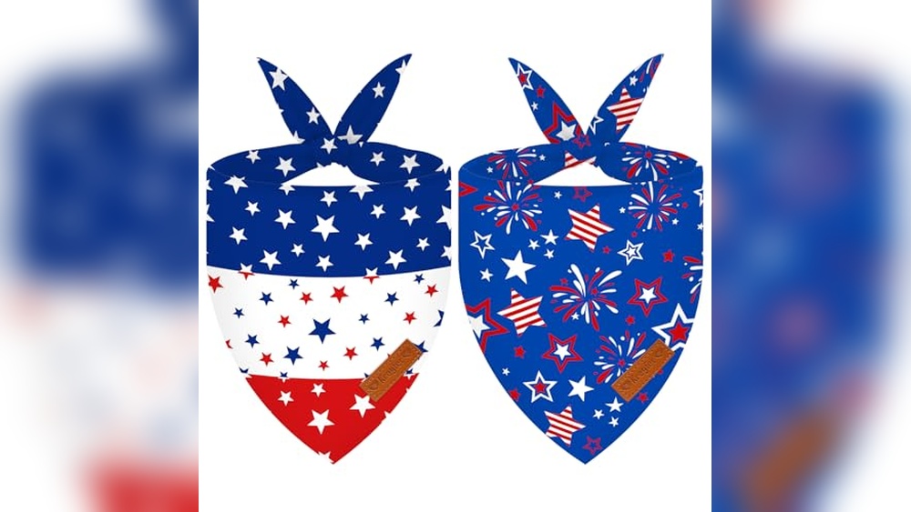American Flag Dog Accessories