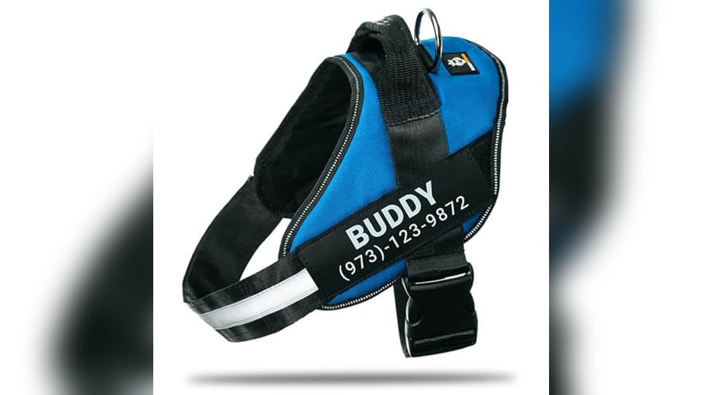 Anodic Products Dog Harness Reviews