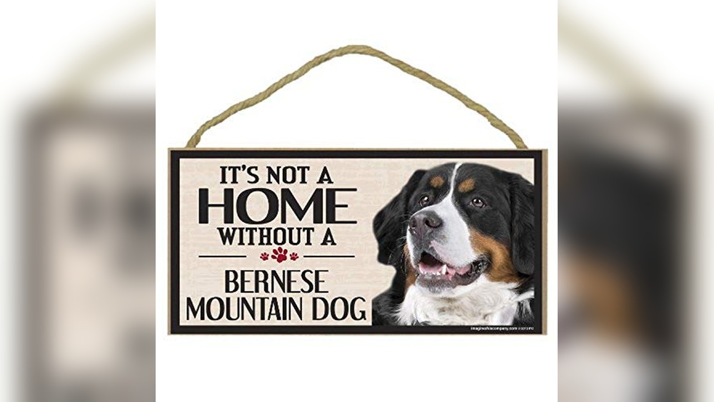 Bernese Mountain Dog Accessories