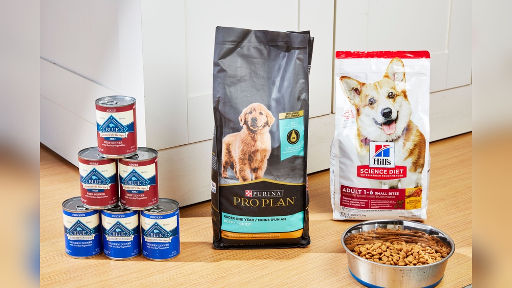 Best Adult Dog Food for Labs