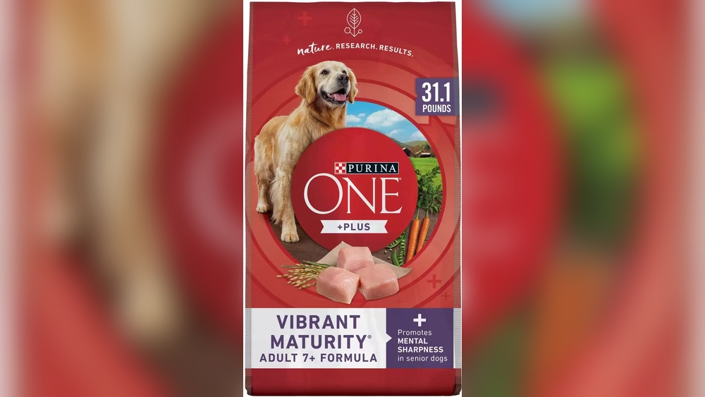 Best Affordable Dog Food for Large Breed