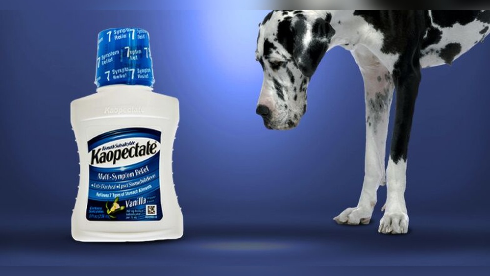Best Antacid for Dogs: Dosage