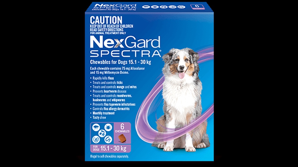Best Anti Parasite Treatment for Dogs