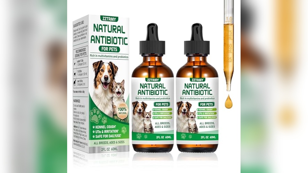 Best Antibiotic for Mrsa in Dogs