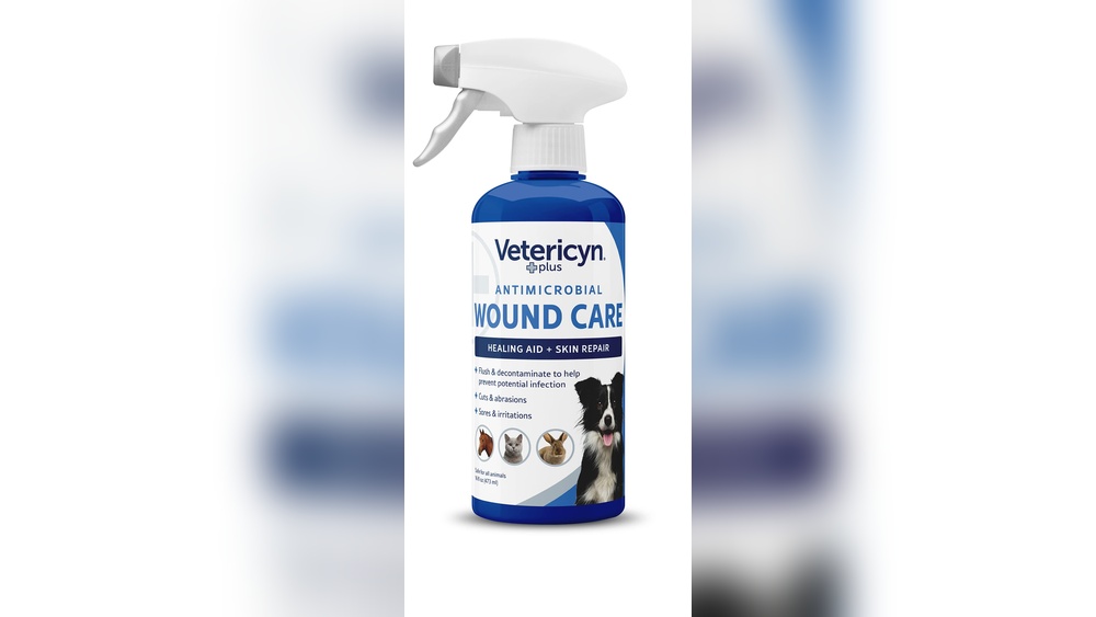Best Antibiotic Spray for Dogs