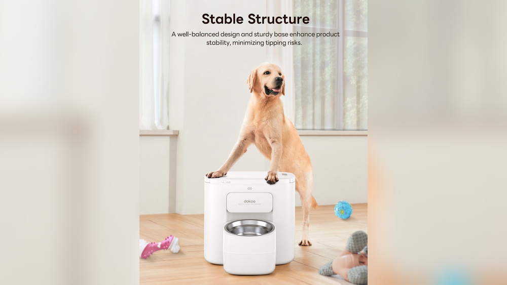 Best Automatic Feeder for Large Dogs