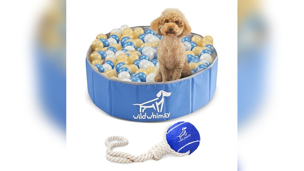 Best Ball Pit for Dogs