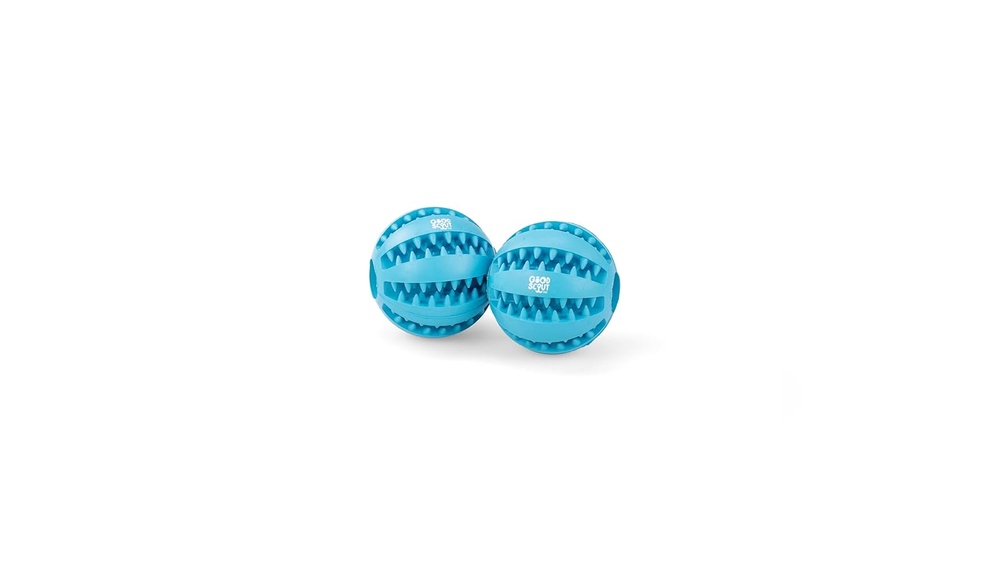 Best Balls for Dogs That Chew