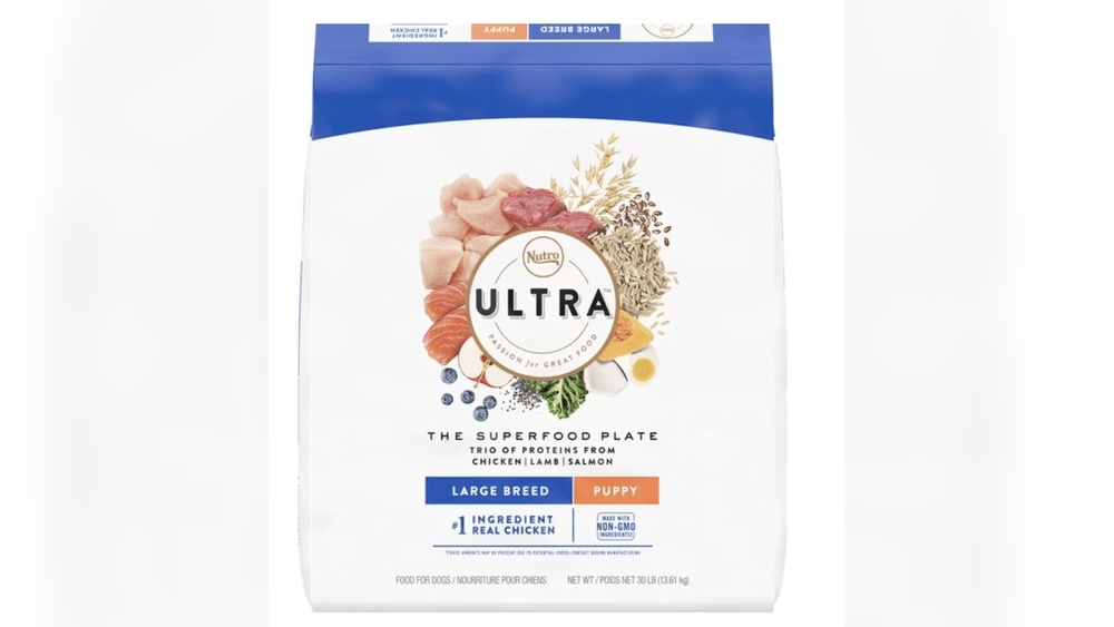 Best Bernese Mountain Dog Food