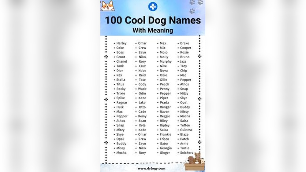 Best Big Dog Names Male
