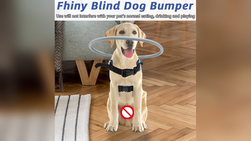 Best Blind Dog Bumper Collar
