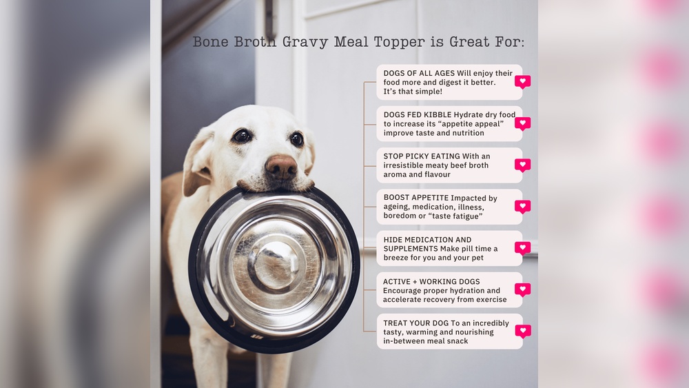 Best Bone Broth for Dogs With Sensitive Stomachs