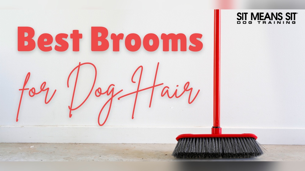 Best Broom for Sweeping Dog Hair