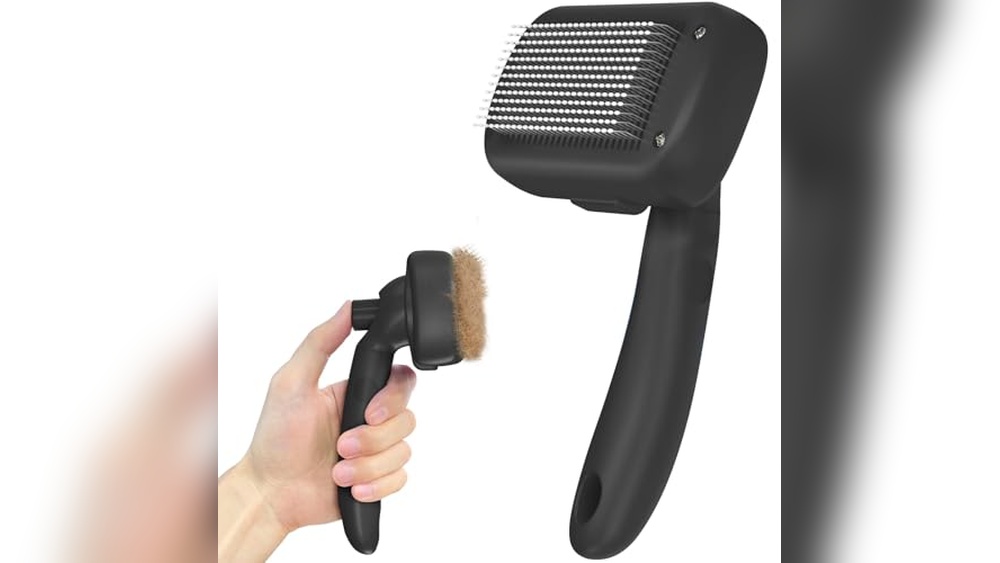 Best Brush for Short Hair Dog