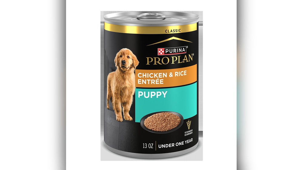 Best Budget Canned Dog Food