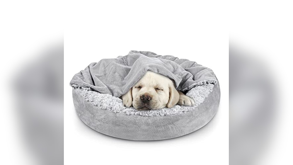 Best Burrow Bed for Dogs