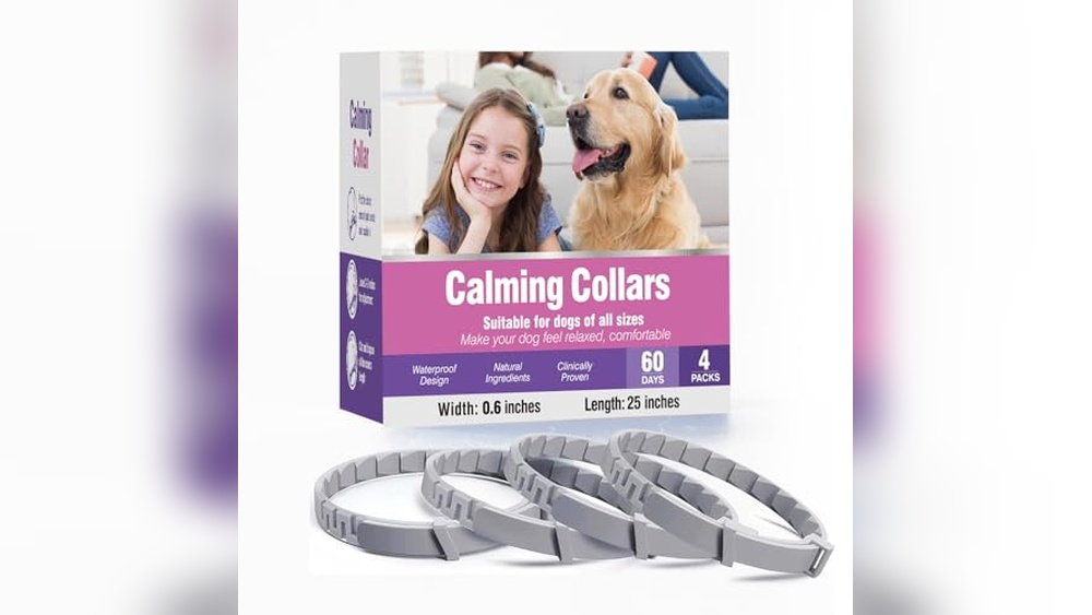 Best Calming Product for Dogs