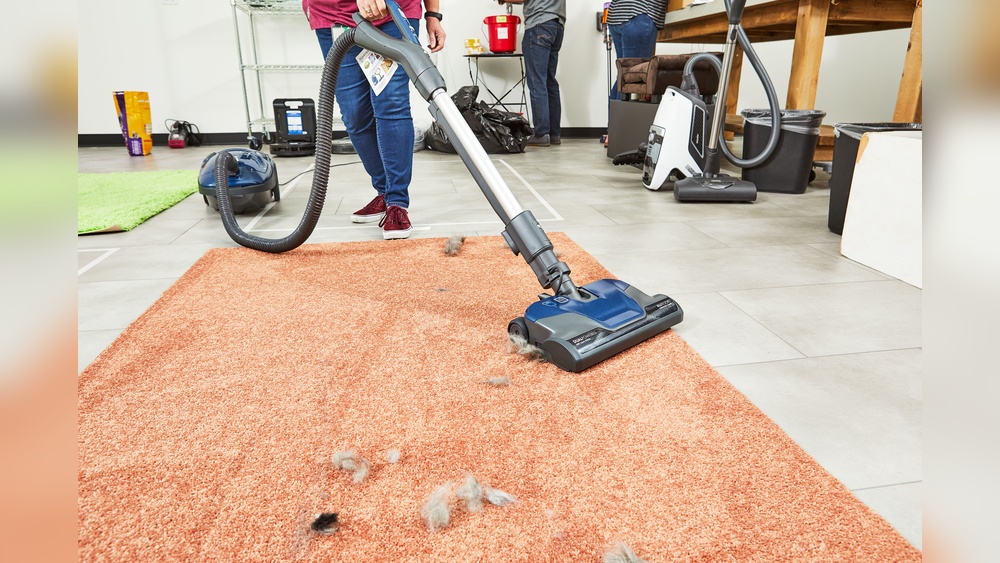 Best Canister Vacuum for Dog Hair