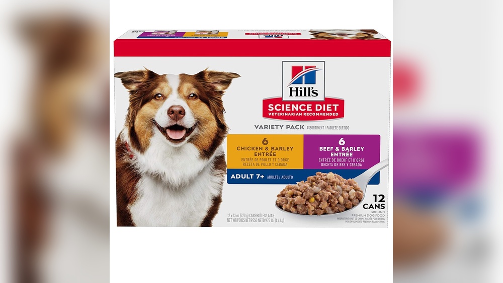 Best Canned Dog Food for Senior Dogs With Heart Condition