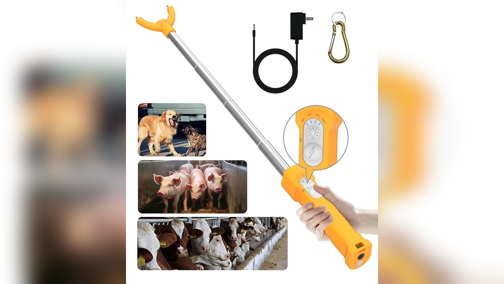 Best Cattle Prod for Dogs