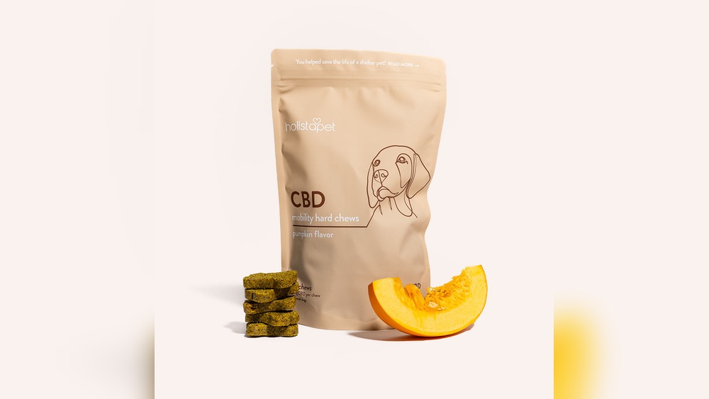 Best Cbd Chews for Dogs With Pain