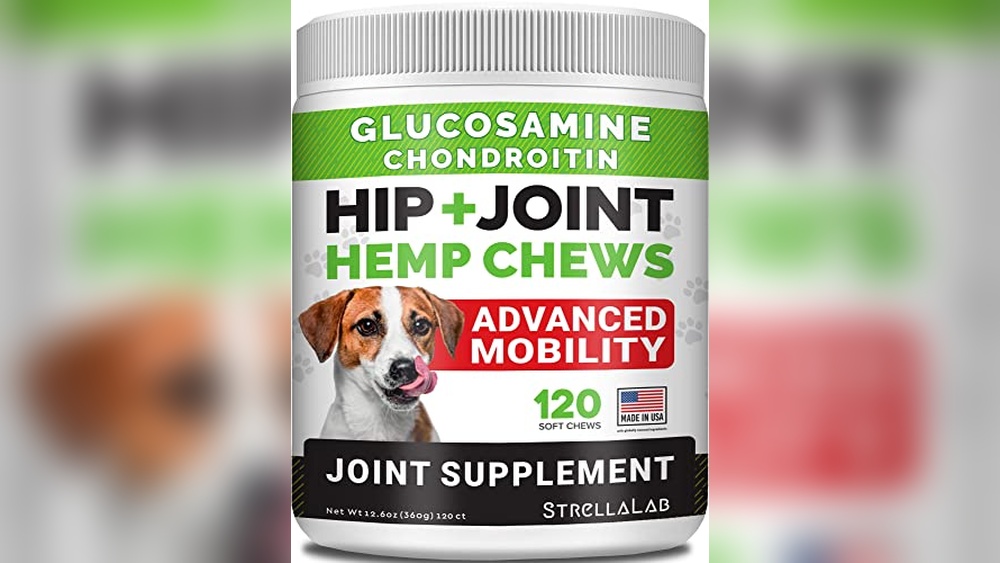Best Cbd for Dogs Joint