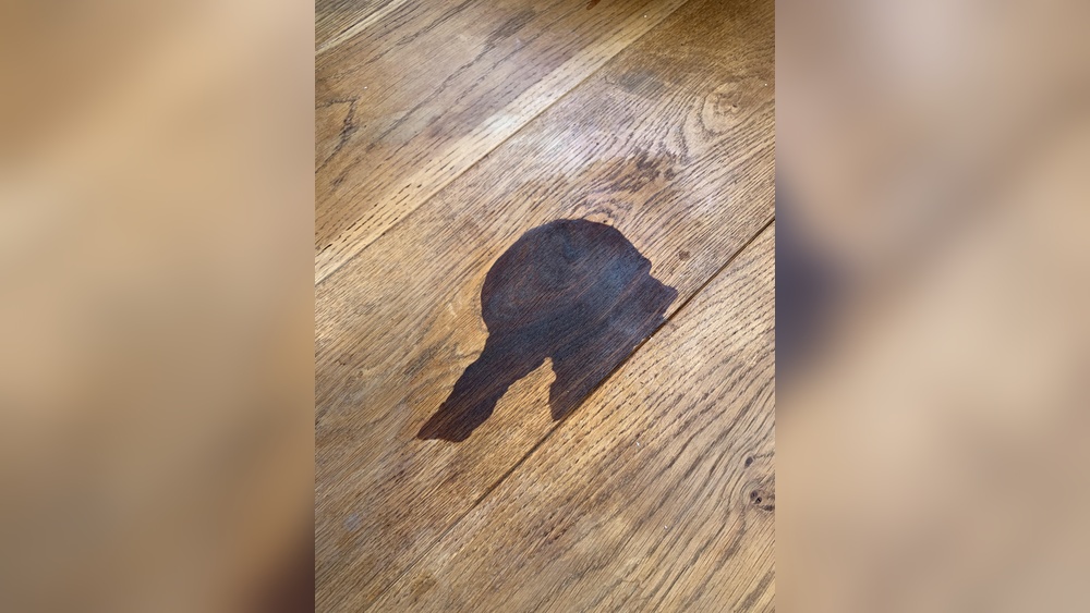 Best Cleaner for Dog Pee on Wood Floors