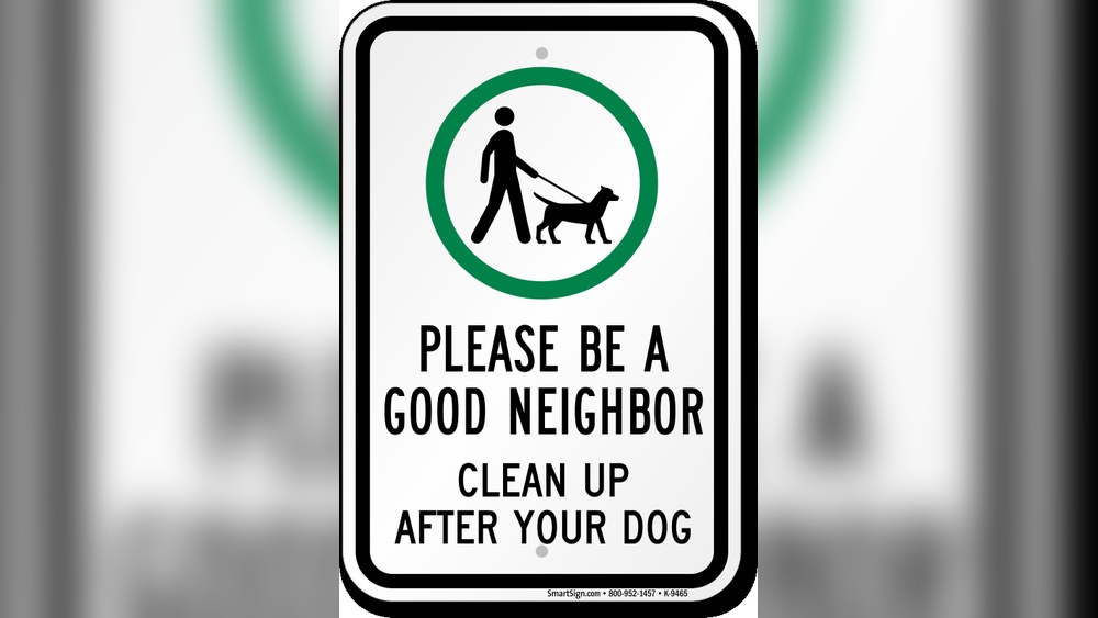 Best Cleaner for Dog Poop