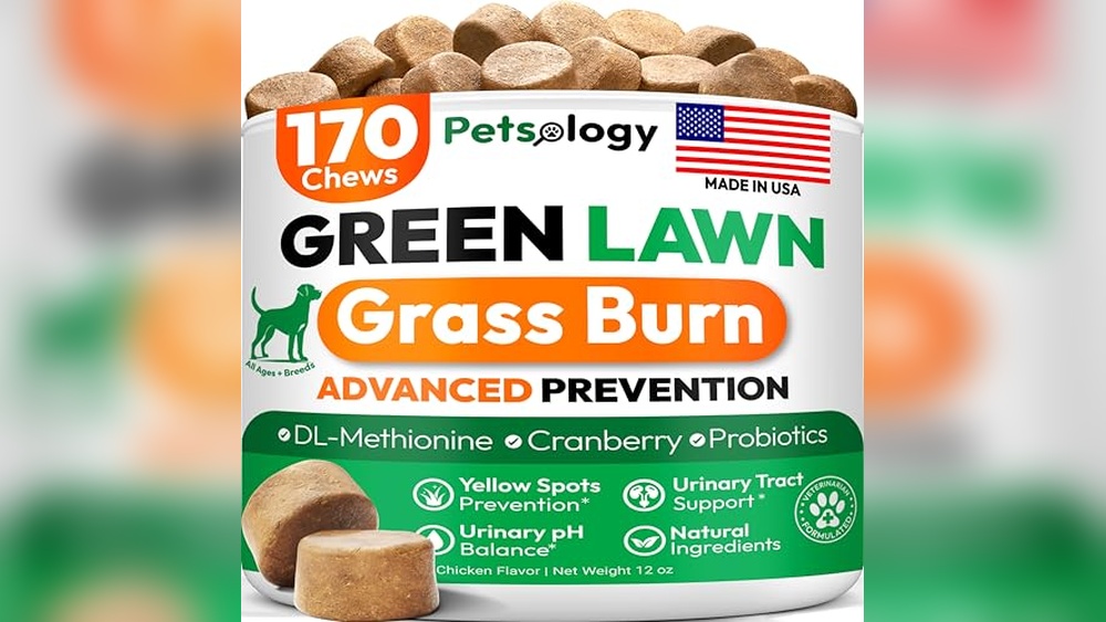 Best Clover Lawn for Dogs