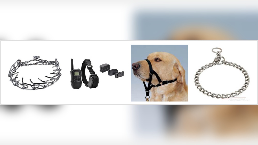 Best Collar to Train a Dog