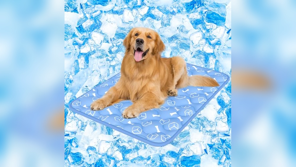 Best Cooling Products for Dogs