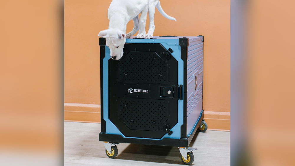 Best Crate for Destructive Dog