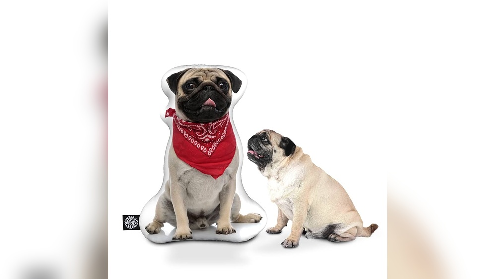 Best Custom Dog Pillow Usa