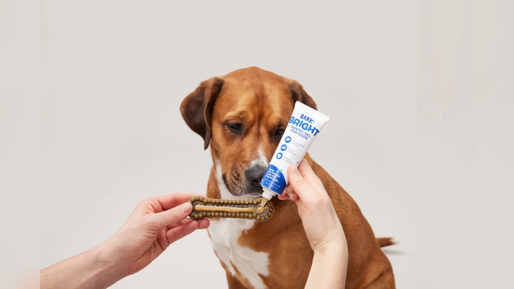 Best Dental Chews for Dogs Bad Breath