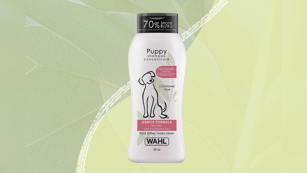 Best Detangling Shampoo for Dogs