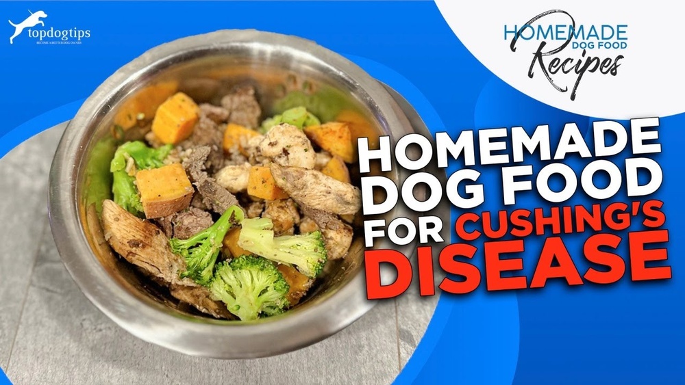 Best Diet for Dogs With Cushing'S Disease