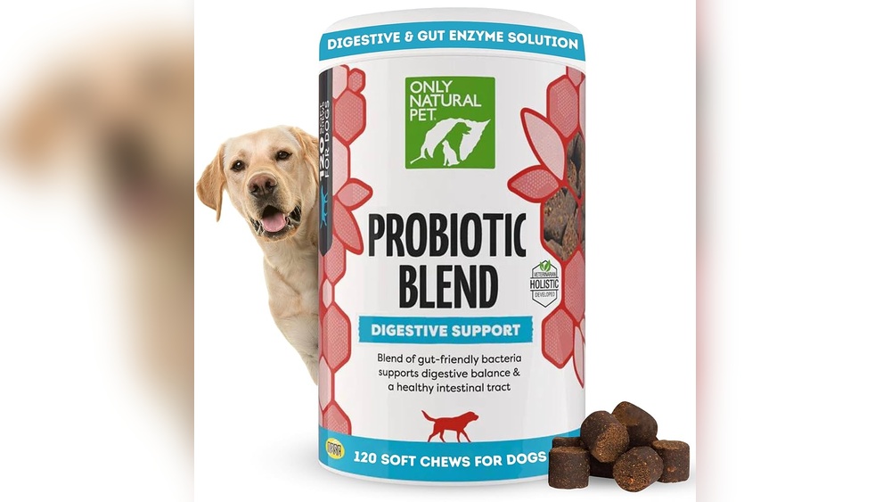 Best Digestive Supplement for Dogs