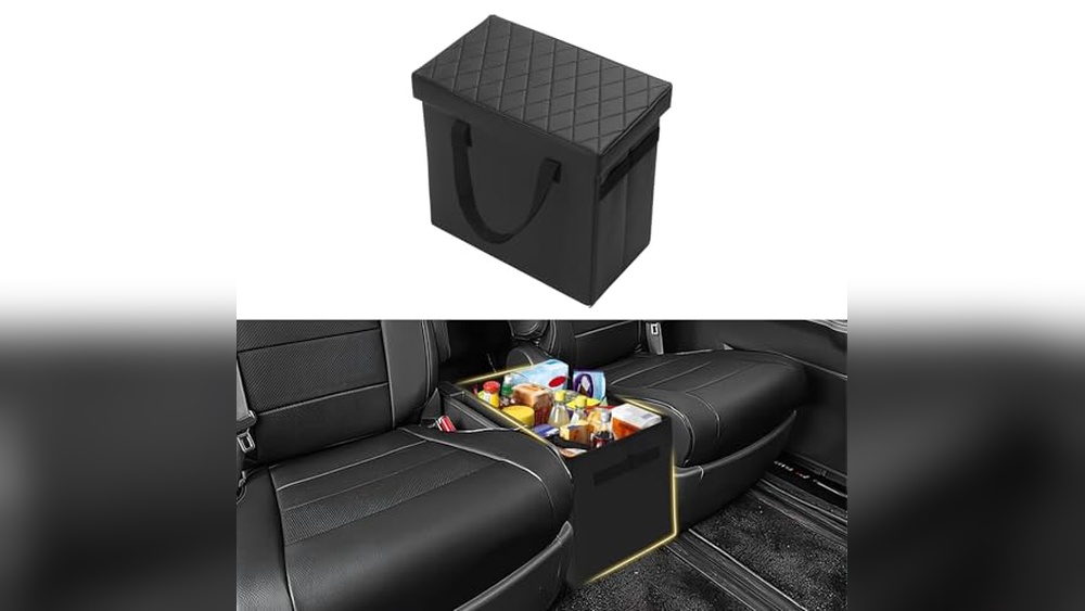 Best Dog Accessories 2024