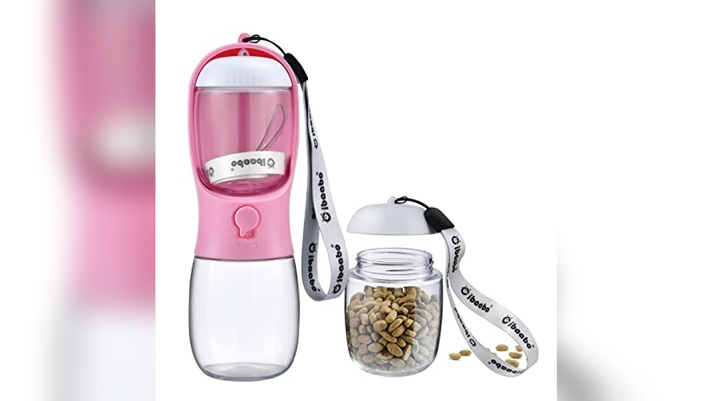 Best Dog Accessory Brands