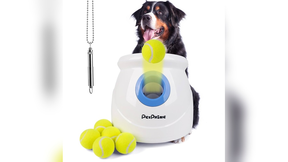 Best Dog Ball Launcher for Large Dogs