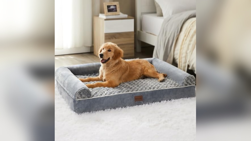 Best Dog Bed for Goldendoodle