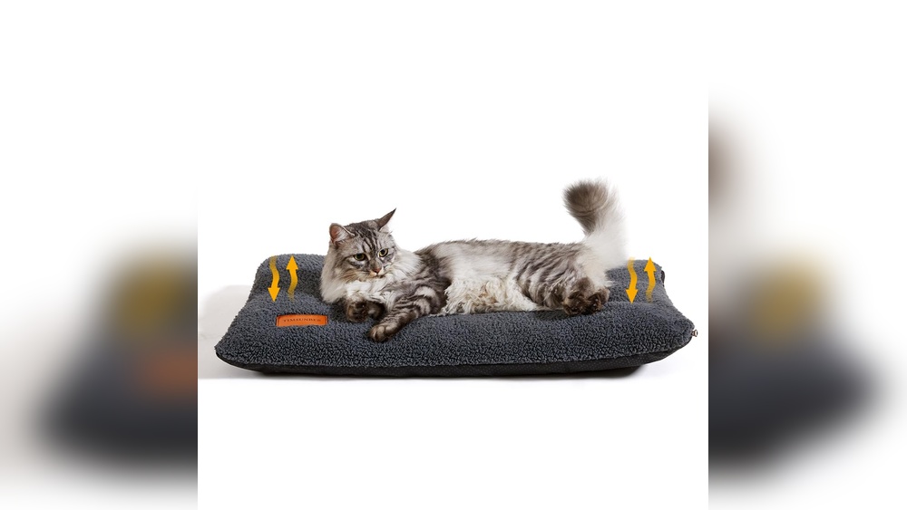 Best Dog Bed With Removable Cover