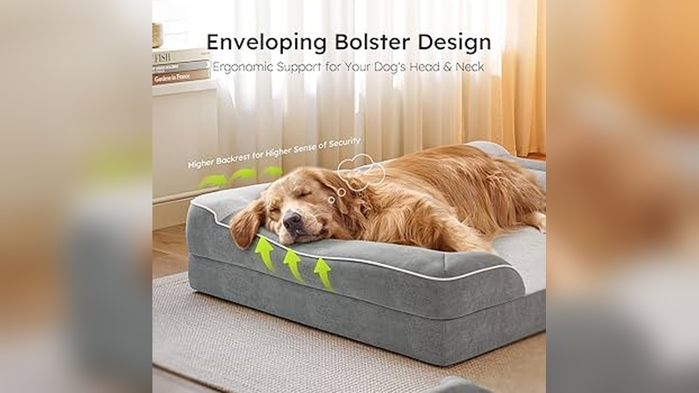 Best Dog Bed With Washable Cover