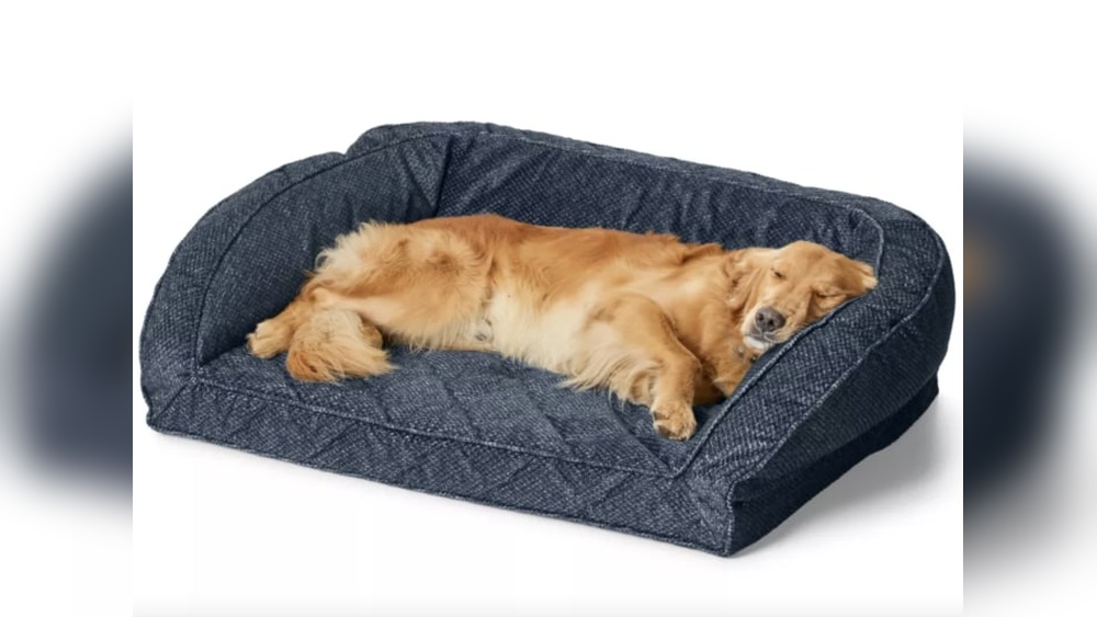 Best Dog Beds for Giant Breeds