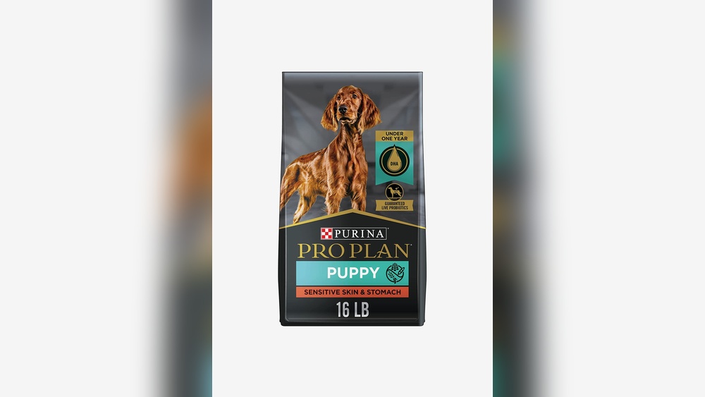Best Dog Biscuits for Puppies